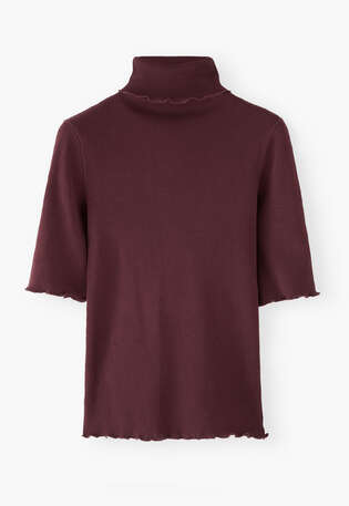 Ribbed roll-neck top, Wine, webstill