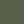Grey moss