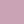 Pink orchid
