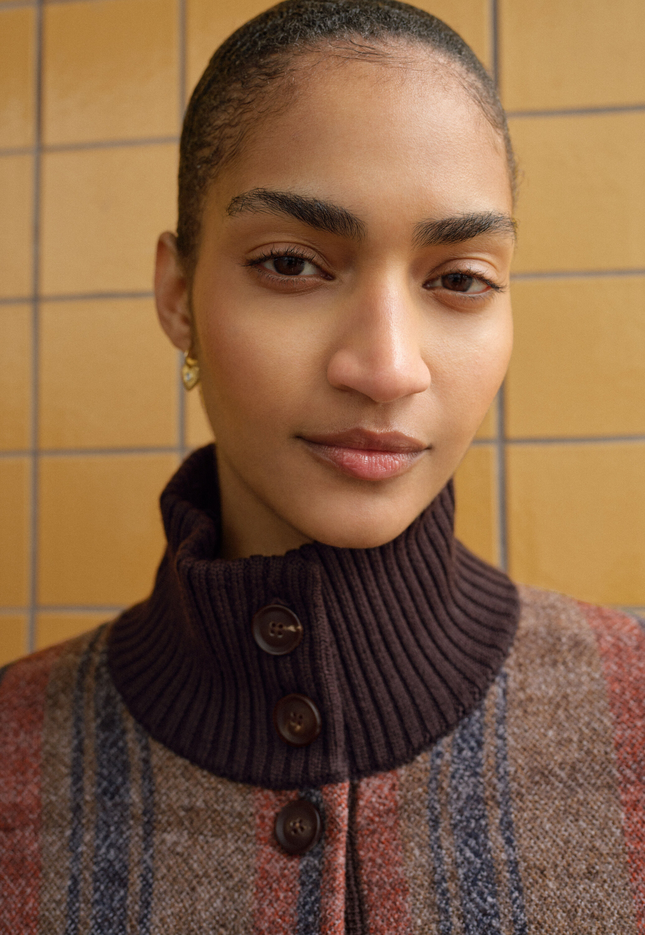 Stripe coat, Brown chilli, large