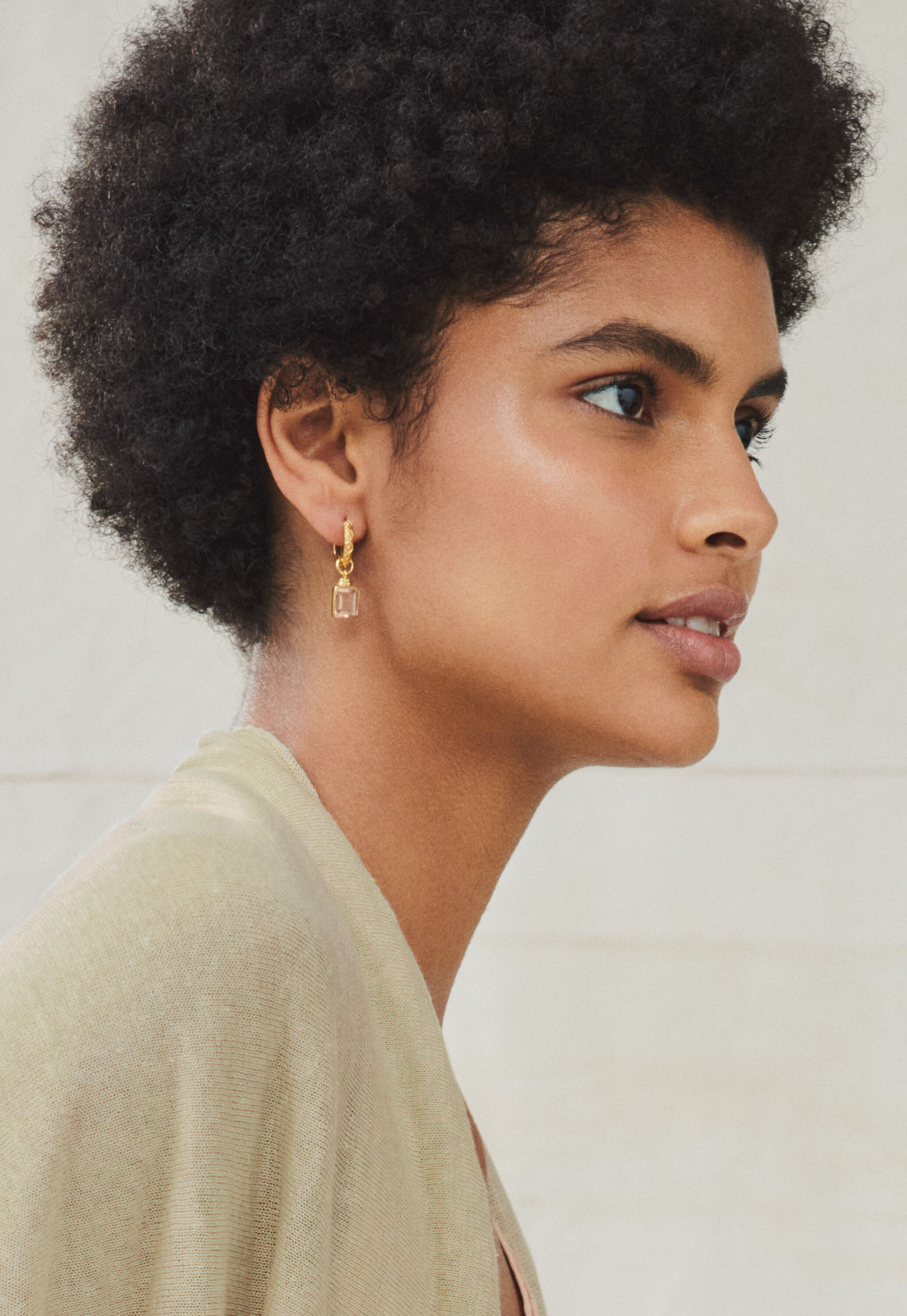 Ridge-glass hoops