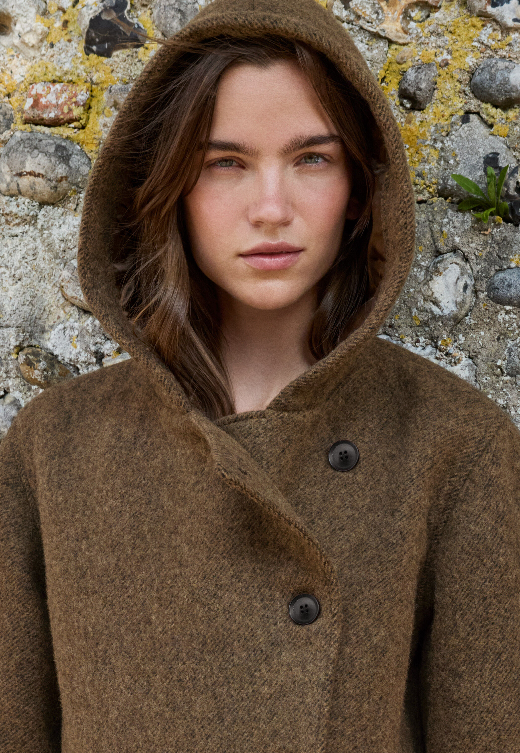 Hooded coat, Brown fawn, large